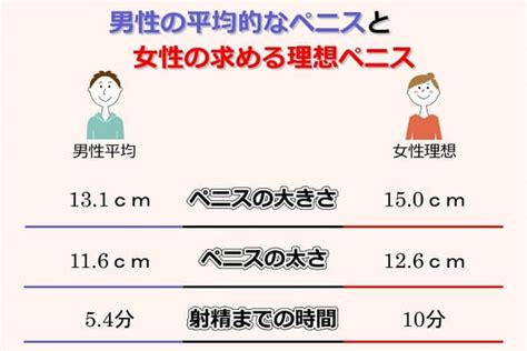 平均 チン長|日本人のペニス、平均的サイズは13cm。女性からす。